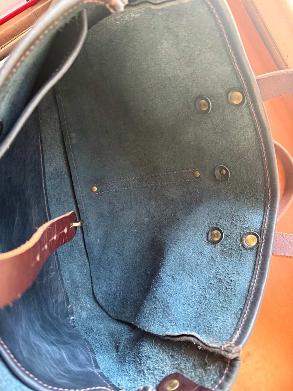 GFG Blue Bison Case - Picture 6 of 9